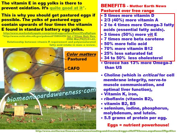 Pastured Egg Benefits Biome Onboard Awareness The Science Behind Food Our Microbiome And 