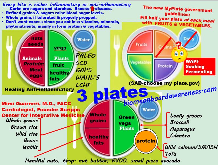 Breast microbiome and Cancer Risk Assessment tool » BIOME ONBOARD ...