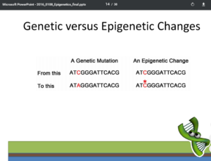 Learn How Diet Pierces The Disease Epigenetics Process! » BIOME ONBOARD ...